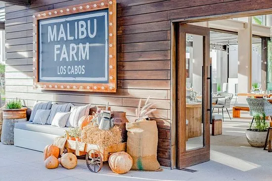Malibu Farm